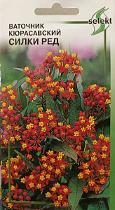 Ваточник_Кюрасавский Силки Ред_0,04_шт._Дом Семян С-П