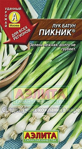 Лук_Пикник (батун многолетний)_1_г._Аэлита