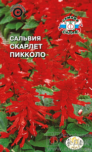 Сальвия_Скарлет Пикколо_0,1_г._Седек