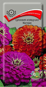 Цинния_Мистерия_0,4_г._Поиск