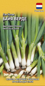 Лук_Байя Верде батун (многолетний) (Голландия)_0,04_г._Гавриш