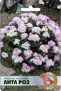 Агератум_Литл Роз_200_шт._Биотехника