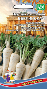 Петрушка_Берлинская (корневая)_2_г._Уральский Дачник