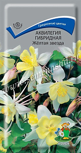 Аквилегия (водосбор)_Желтая Звезда_0,1_г._Поиск