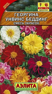 Георгин_Анвинс Беддинг см_0,2_г._Аэлита Э