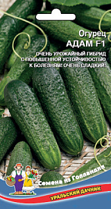 Огурец_Адам F1_5_шт._Уральский Дачник