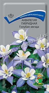 Аквилегия (водосбор)_Голубая Звезда_0,1_г._Поиск