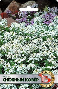 Алиссум (лобулярия)_Снежный Ковер_0,04_шт._Биотехника