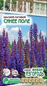 Сальвия (шалфей)_Синее Поле (Живая Изгородь)_0,04_г._ЕВРОСЕМЕНА