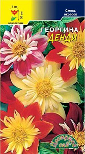 Георгин_Денди см_0,2_г._Цветущий Сад