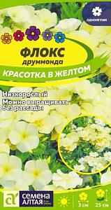 Флокс_Красотка в Жёлтом_0,04_г._Семена Алтая