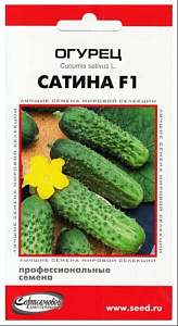Огурец_Сатина F1_6_шт._Дом Семян С-П