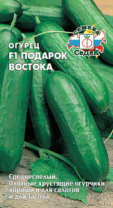 Огурец_Подарок Востока F1_0,2_г._Седек