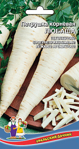 Петрушка_Любаша (корневая)_2_г._Уральский Дачник