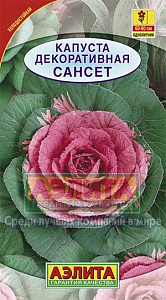 Капуста_декоративная_Сансет_7_шт._Аэлита