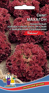 Салат_Махагон (лист)_0,2_г._Уральский Дачник