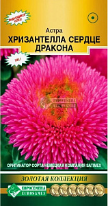 Астра_Хризантелла Сердце Дракона (Золотая Коллекция)_5_шт._Евросемена