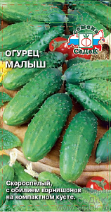 Огурец_Малыш_0,3_г._Седек
