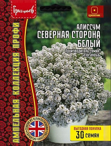 Алиссум (лобулярия)_Северная Сторона Белый (амп) б/ф_30_шт._Григорьев