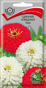 Цинния_Пани_0,4_г._Поиск