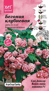 Бегония_Сан Дансер Вайт Пинк Пикоти (клубневая)_0,04_шт._АгроСидсТрейд
