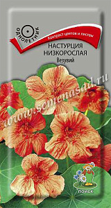 Настурция_Везувий (куст)_1_г._Поиск