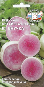 Редька_Лоба Внучка F1_1_г._Седек