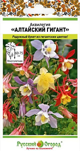 Аквилегия (водосбор)_Алтайский Гигант см_0,04_г._НК