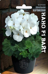 Герань (Пеларгония)_Нано F1 Вайт (карликовая )_5_шт._Биотехника