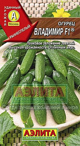 Огурец_Владимир F1_10_шт._Аэлита