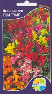 Львиный зев (антирринум)_Том Тумб смесь_0,1_г._Акварель