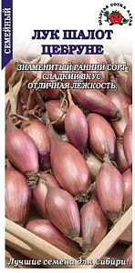 Лук_Цебруне шалот_0,04_г._Золотая Сотка Алтая