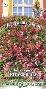 Алиссум (лобулярия)_Нота сердца (Чудесный балкон)_0,1_г._Гавриш