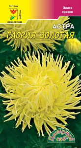 Астра_Глория золотая (хризантемовидная)_0,2_г._Цветущий Сад