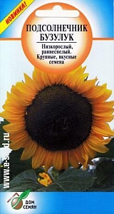 Подсолнечник_Бузулук_60_шт._Дом Семян С-П