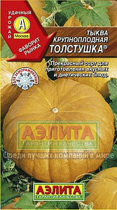 Тыква_Толстушка крупноплодная_1_г._Аэлита