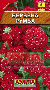 Вербена_Румба_0,1_г._Аэлита