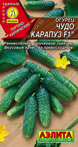 Огурец_Чудо карапуз F1_10_шт._Аэлита