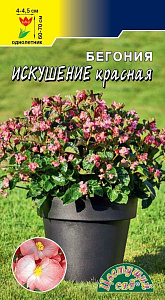 Бегония_Искушение Красная см_5_шт._Цветущий Сад