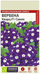 Вербена_Кварц Блу_5_шт._Золотая Сотка Алтая