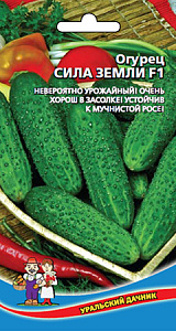 Огурец_Сила Земли F1_0,3_г._Уральский Дачник