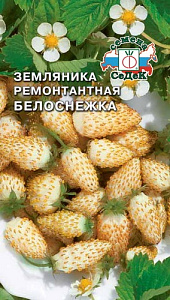 Земляника_Белоснежка_0_г._Седек