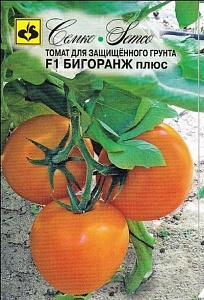 Томат_Бигоранж плюс F1_5_шт._Семко