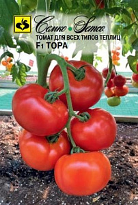 Томат_Тора F1_5_шт._Семко