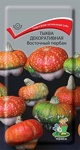 Тыква декоративная_Восточный тюрбан_5_шт._Поиск