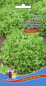 Салат_Орфей (п/кочан)_0,3_г._Уральский Дачник