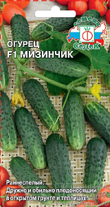 Огурец_Мизинчик F1_0,3_г._Седек