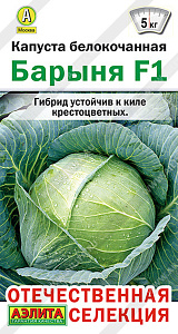 Капуста_б/к_Барыня F1 (Отечественная селекция)_15_шт._Аэлита