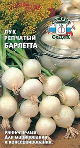 Лук_Барлетта репка_0,04_г._Седек