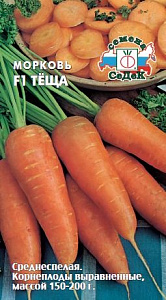 Морковь_Теща F1_2_г._Седек